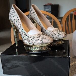 Elegant Gold and Silver High Heels